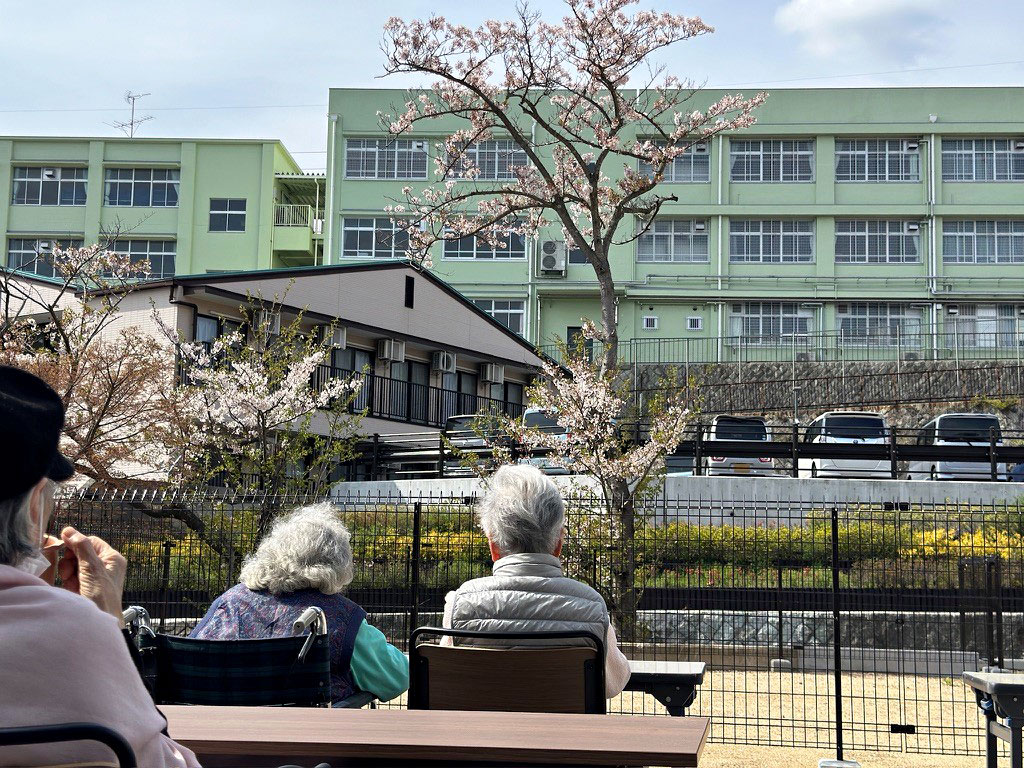 さくらの花見