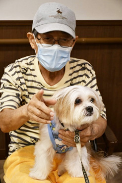 セラピードック