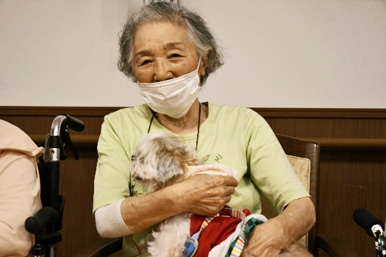 セラピードック