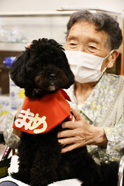 セラピードック