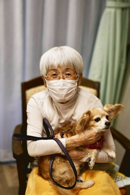 セラピードック