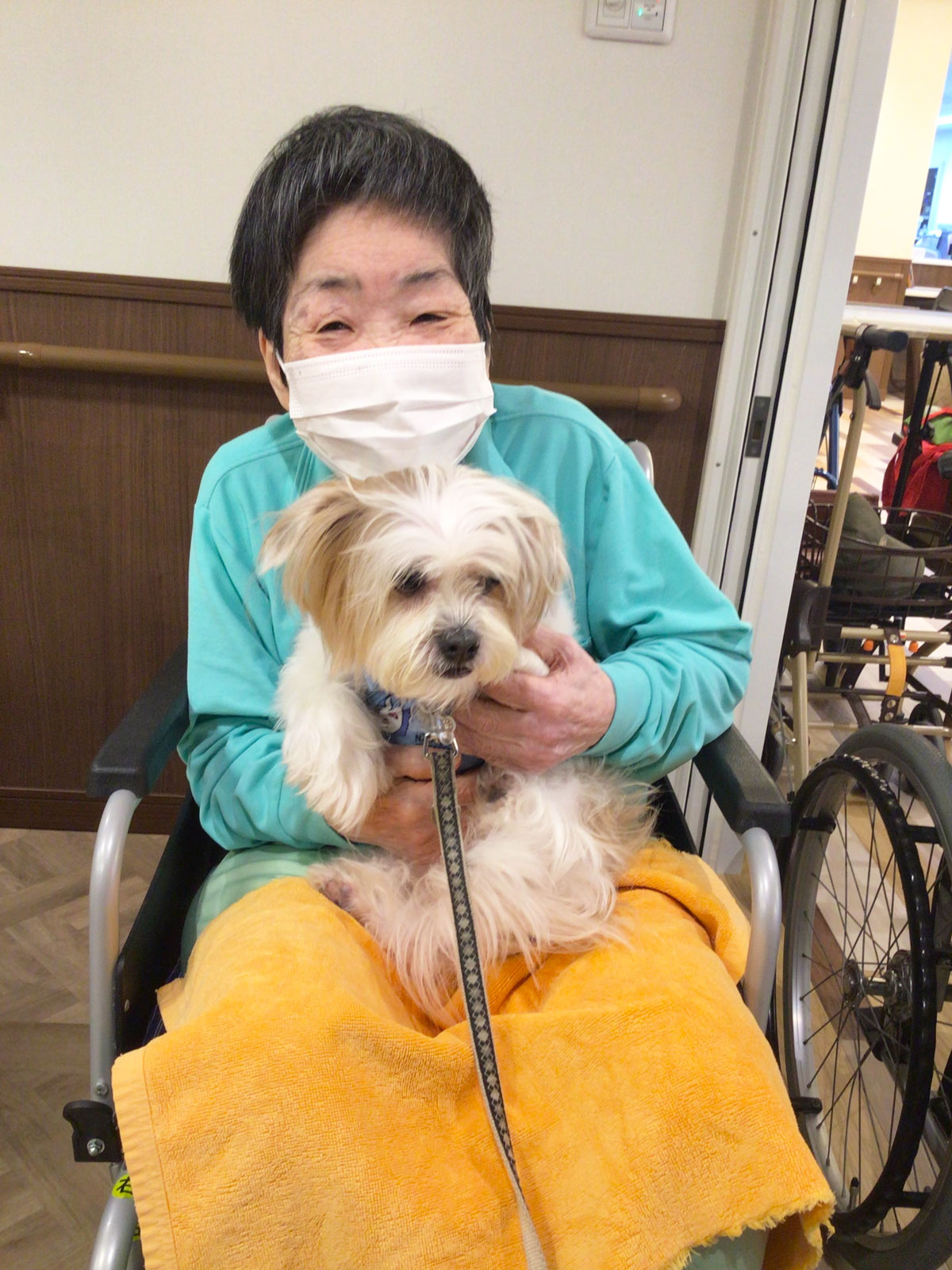 ドッグセラピー