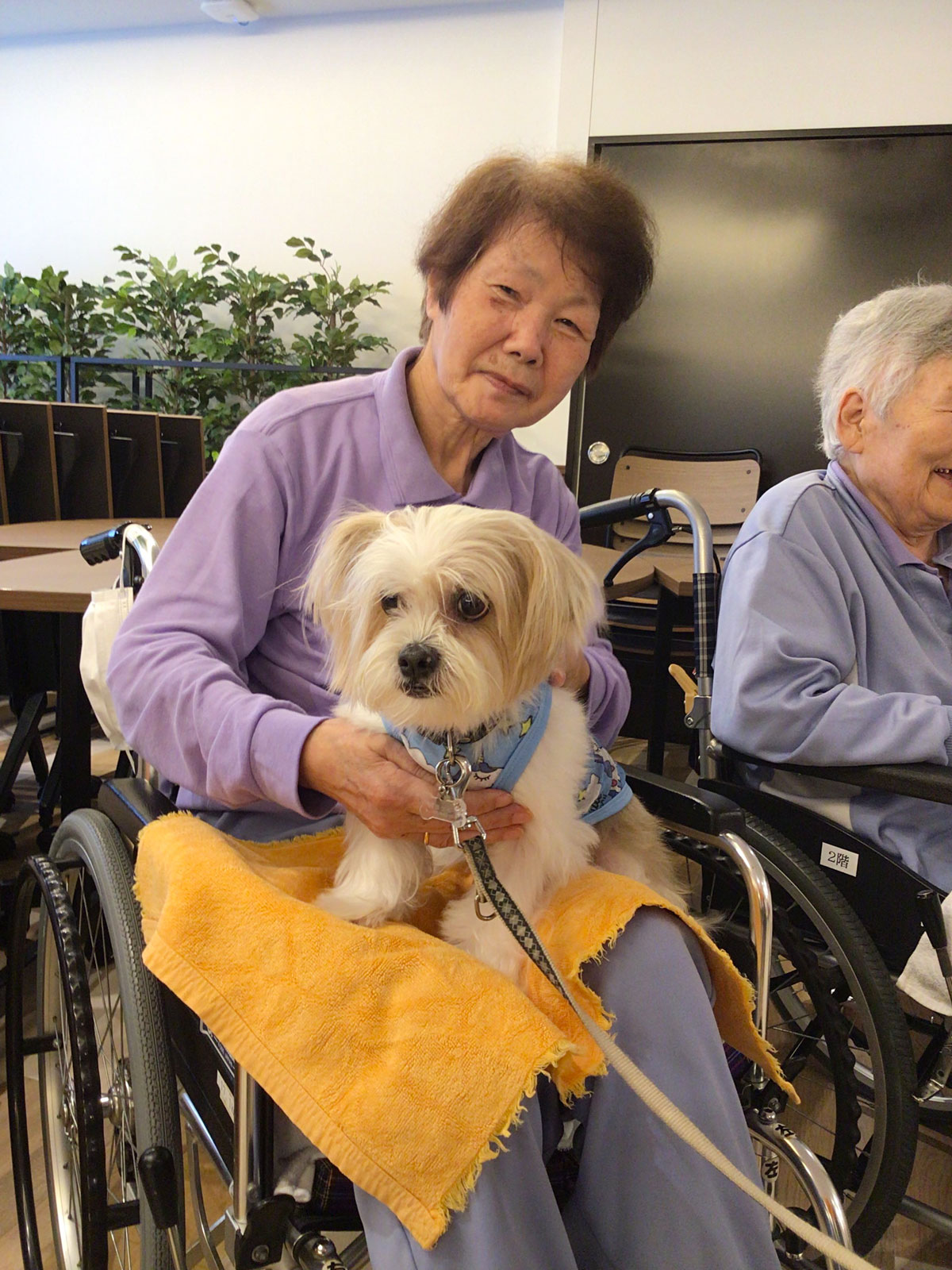 ドッグセラピー