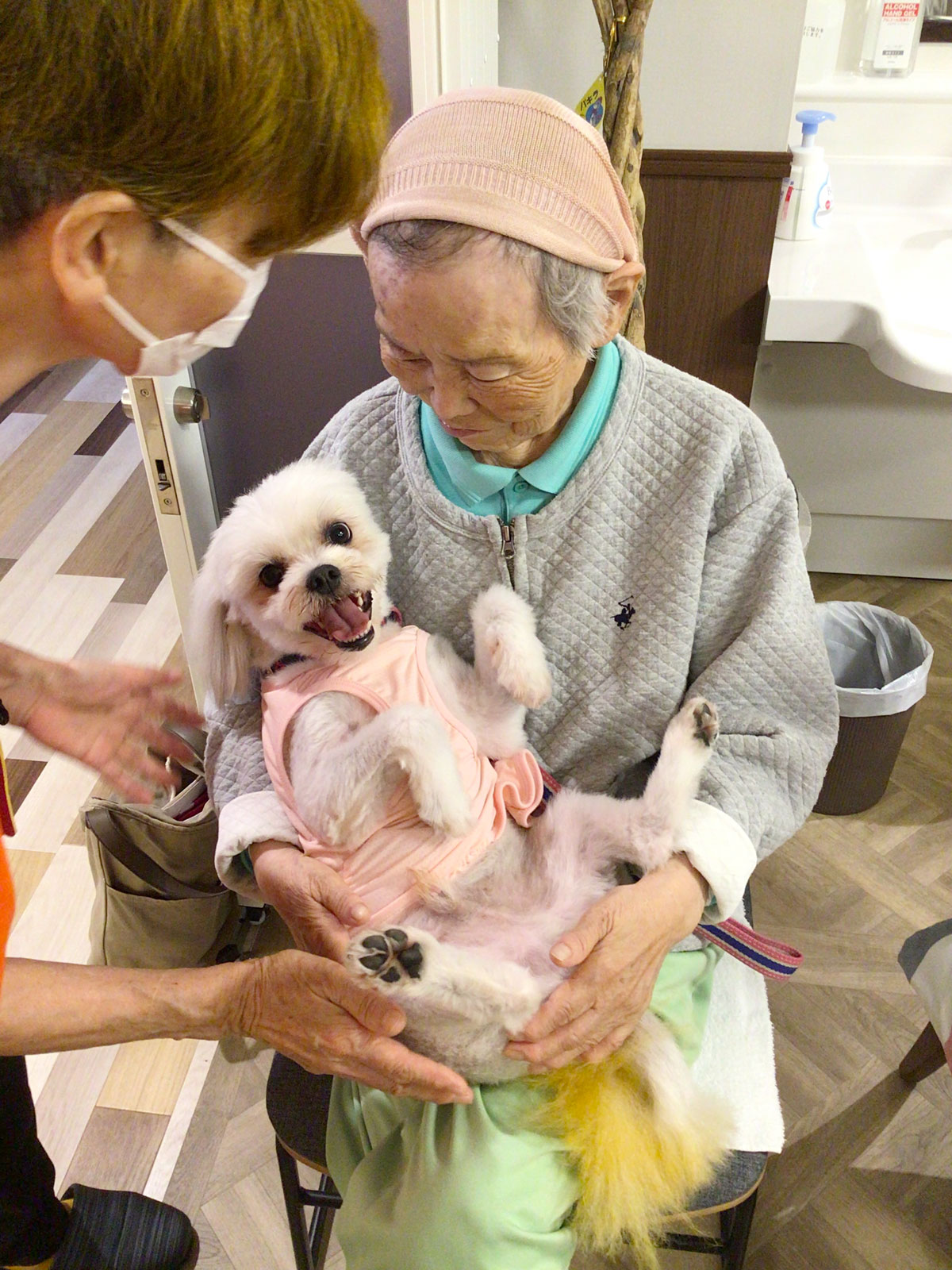 ドッグセラピー